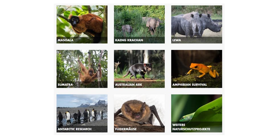 Screenshot: zoo.ch Screenshot Landingpage Naturschutzprojekte, mit Übersicht über alle Projekte.