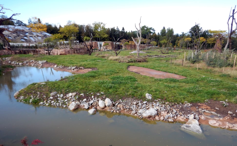 Foto: Zoo Zürich, Robert Zingg Baustelle Lewa Savanne im Zoo Zürich, Oktober 2019.