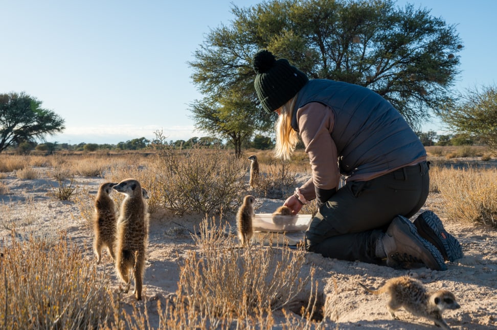 Forscherin im Kalahari Research Centre in Südafrika. 