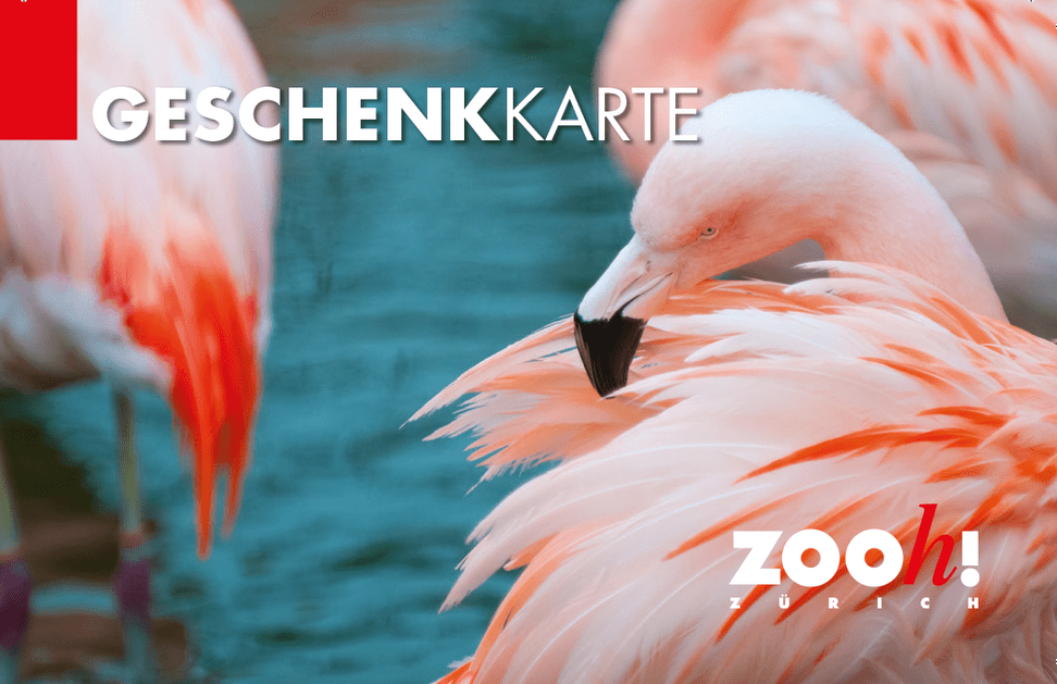 Geschenkkarte Zoo Zürich.