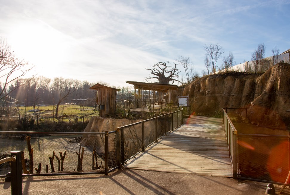 Ausgang aus dem Lewa Giraffenhaus Richtung Savanne.