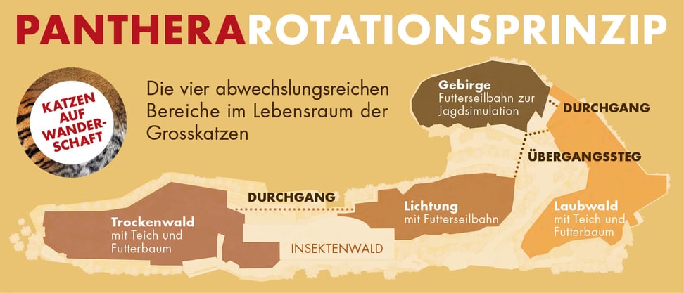 Grafische Darstellung des Rotationsprinzips im Lebensraum Panthera im Zoo Zürich.