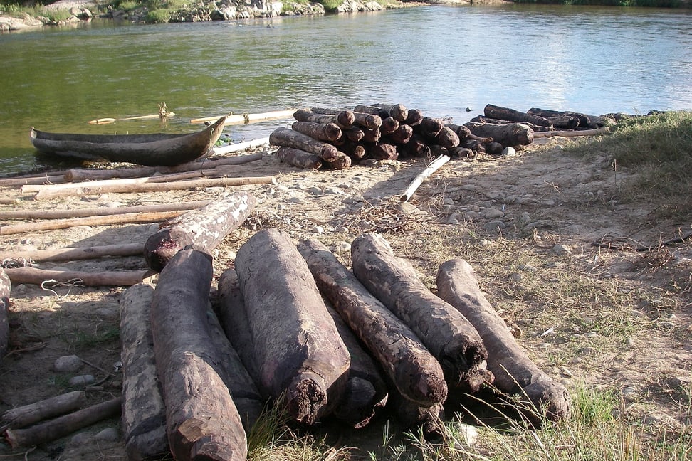 Illegaler Holzhandel auf Madagaskar.