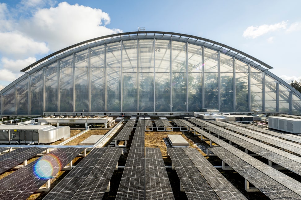 Photovoltaik-Anlage auf dem Dach des Naturschutzzentrums beim Masoala Regenwald.