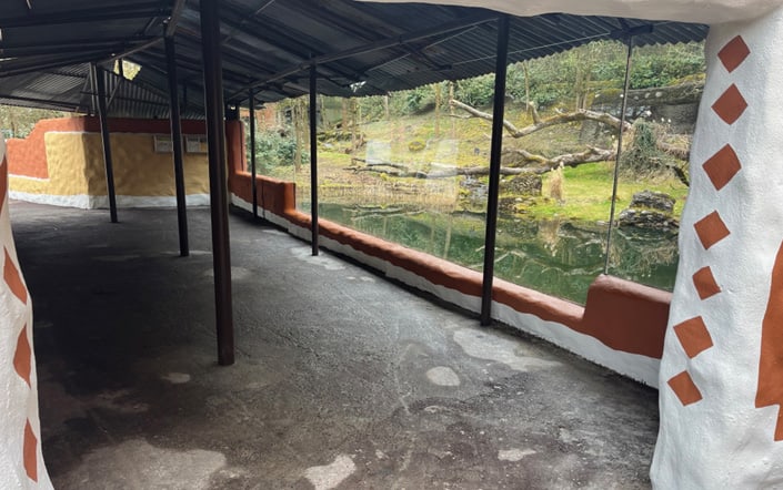 Aufnahme des Eventstandorts Panthera Trockenwald im Zoo Zürich.