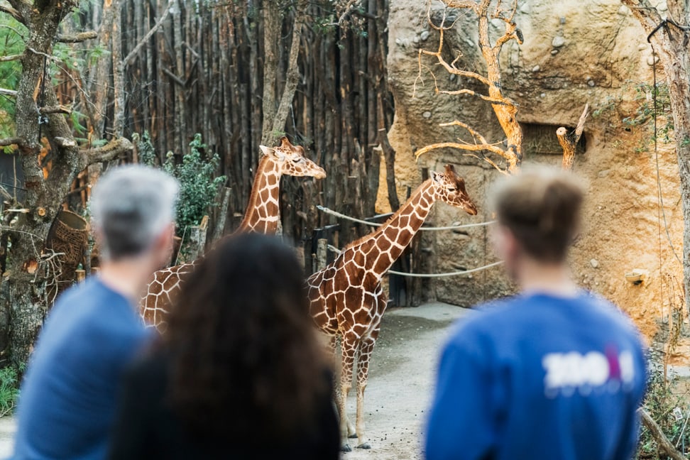 Mitarbeiter und Besucher des Zoo Zürich