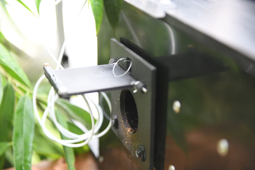 Eingangsklappe zum Prototypen Mausmaki-Monitoring