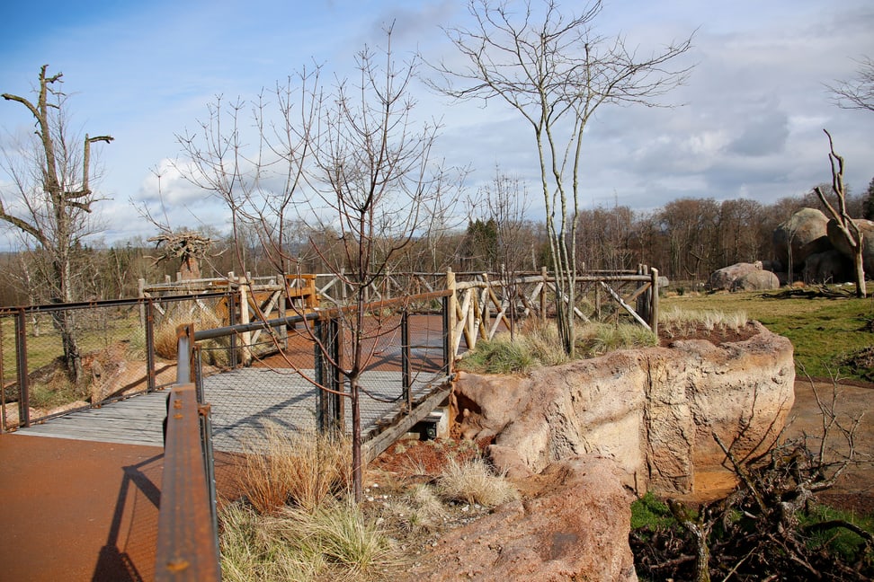 Foto: Zoo Zürich, Rita Schlegel Steg in der Lewa Savanne im März 2020.
