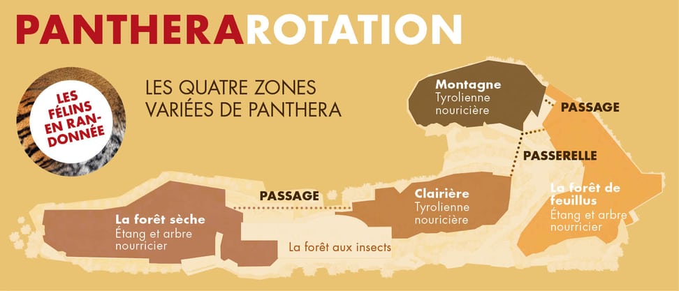 Représentation graphique du principe de rotation dans l'habitat Panthera au Zoo de Zurich.
