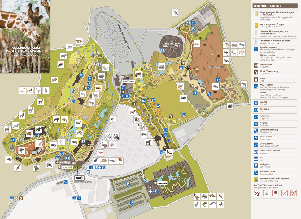 Grafik: Zoo Zürich Übersichts- und Orientierungsplan für den Zoo Zürich.