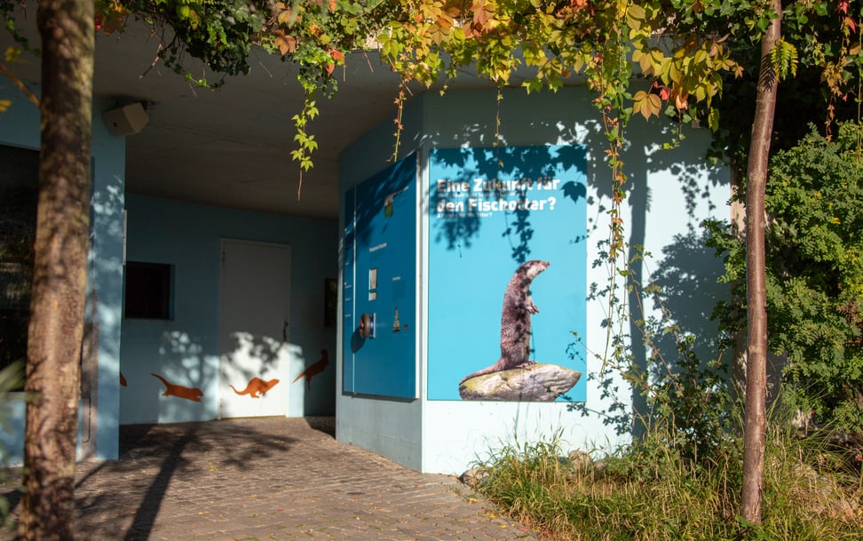 Foto: Zoo Zürich, Rita Schlegel Ausstellung Fischotter im Zoo Zürich.