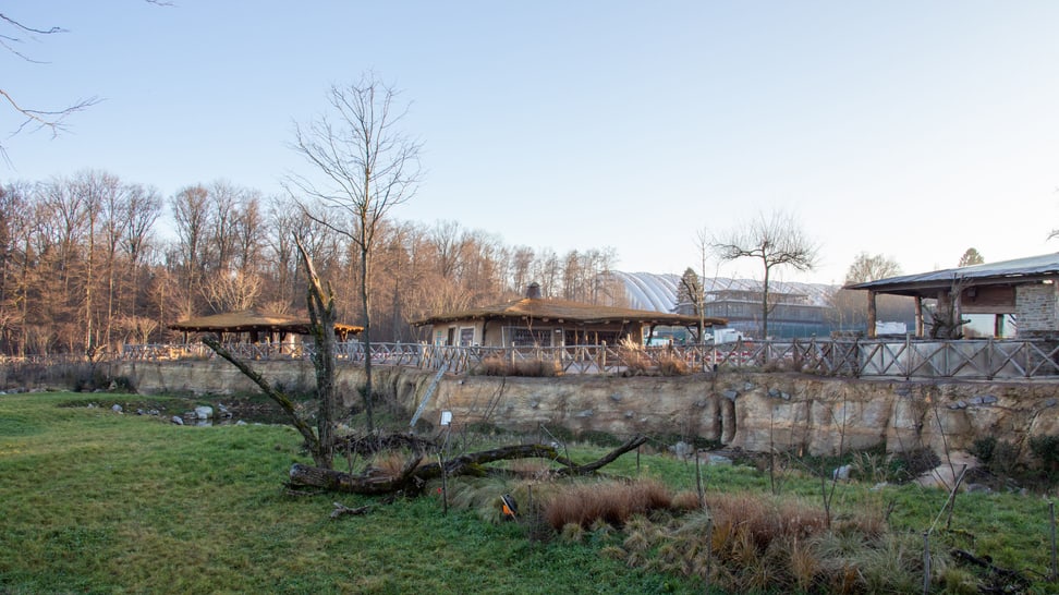 Foto: Zoo Zürich, Rita Schlegel Blick vom Steg Richtung Lewa Dorf.