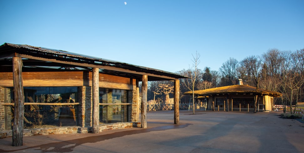 Foto: Zoo Zürich, Rita Schlegel Innenanlage der Erdmännchen in der Lewa Savanne im Januar 2020.