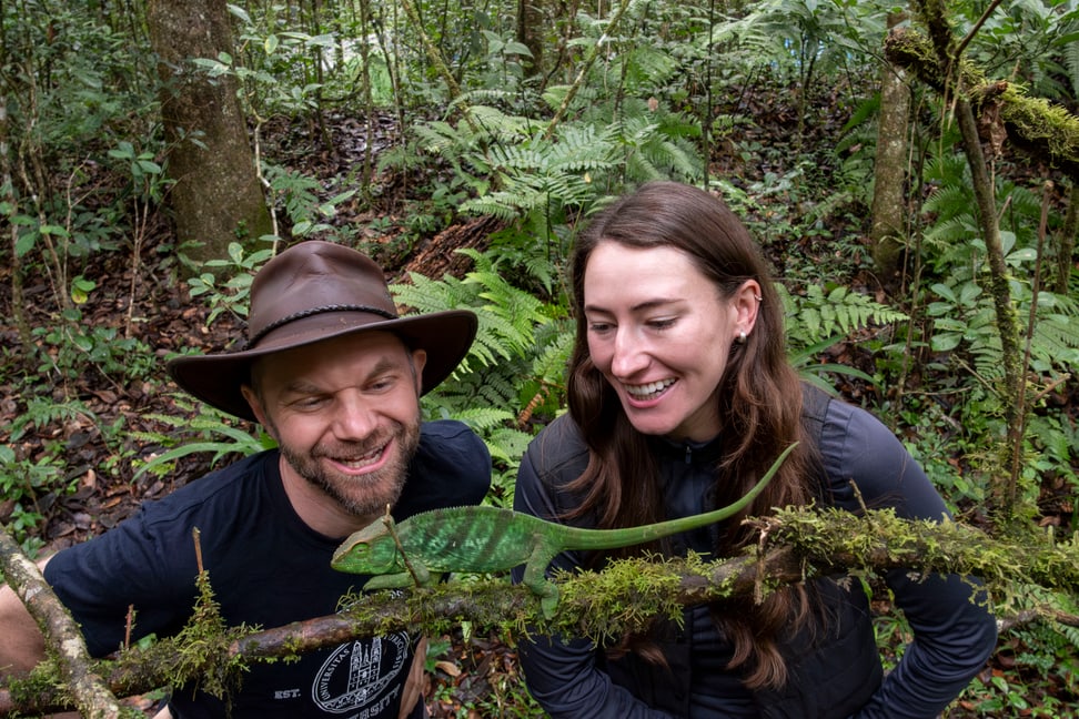 2 Personen betrachten ein Chamäleon im Makira Naturpark