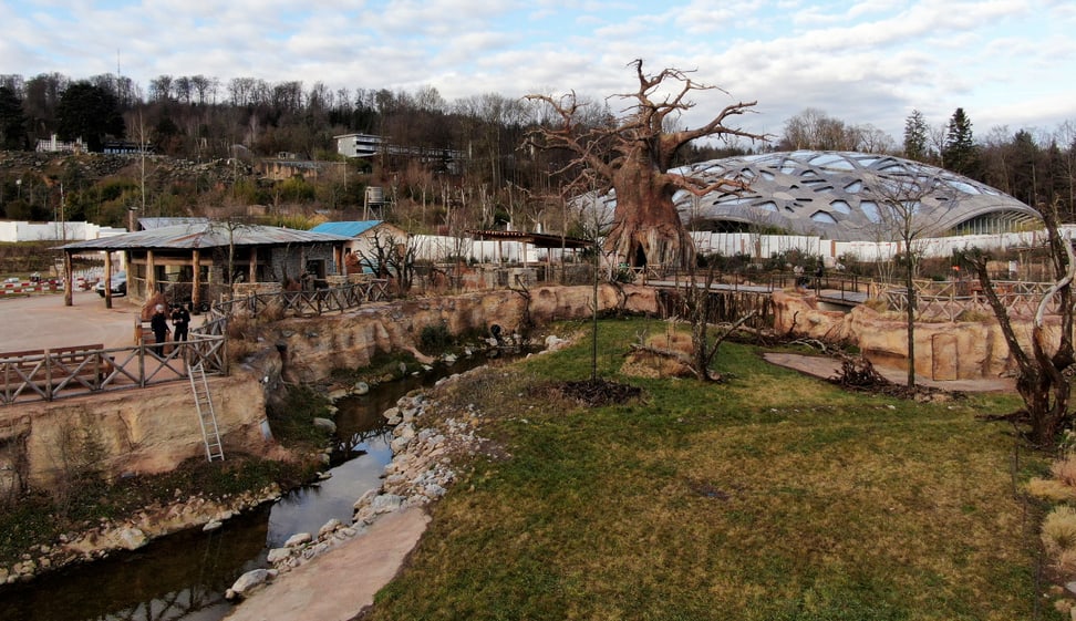 Blick auf das Wasserloch und das Lewa Dorf im Januar 2020.