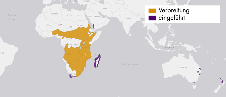 Verbreitungskarte Helmperlhuhn