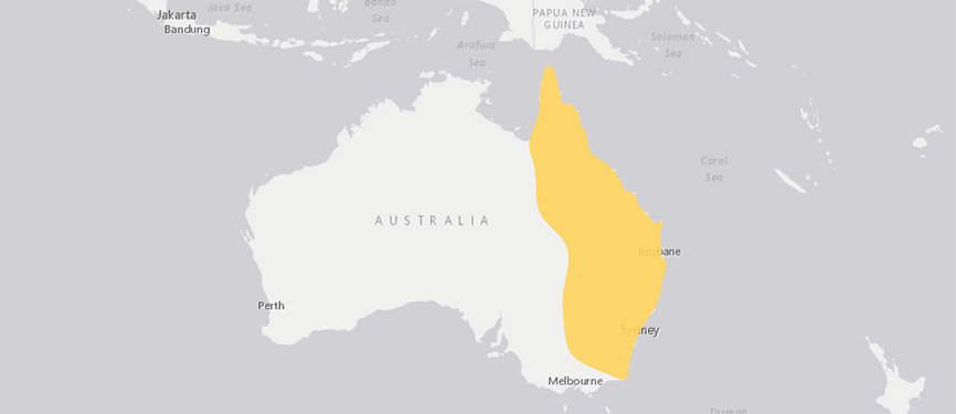 Verbreitungskarte Australische Gespenstschrecke