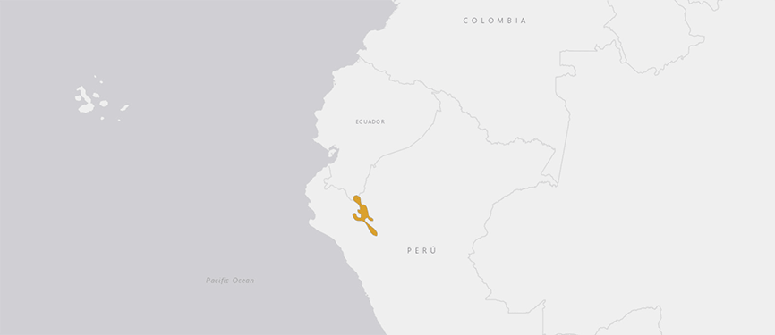 Verbreitungskarte Peruanischer Buntleguan