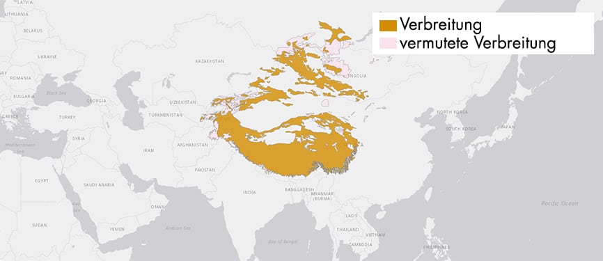Verbreitungskarte Schneeleopard 2025