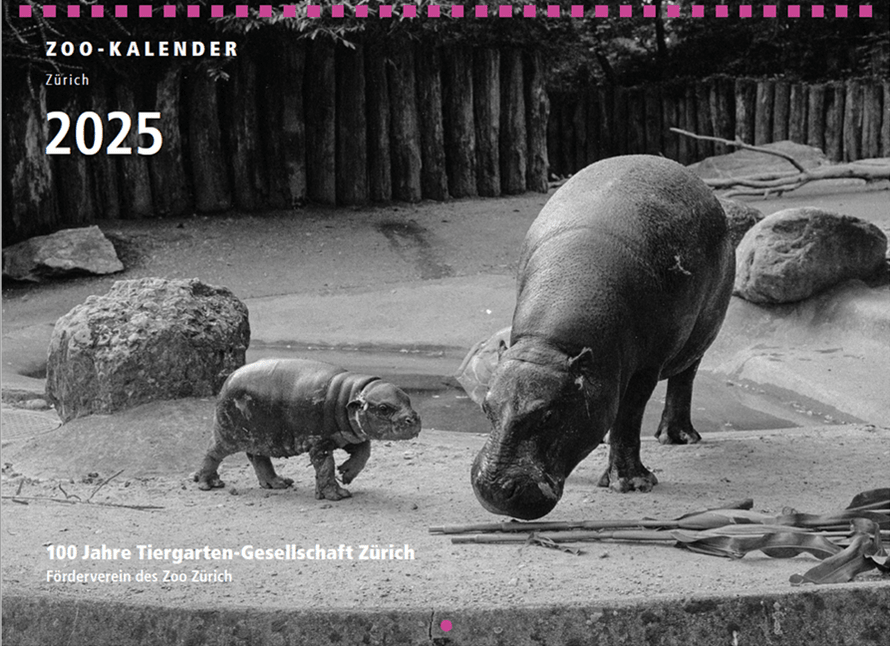 Titelbild des Zookalenders 2025.
