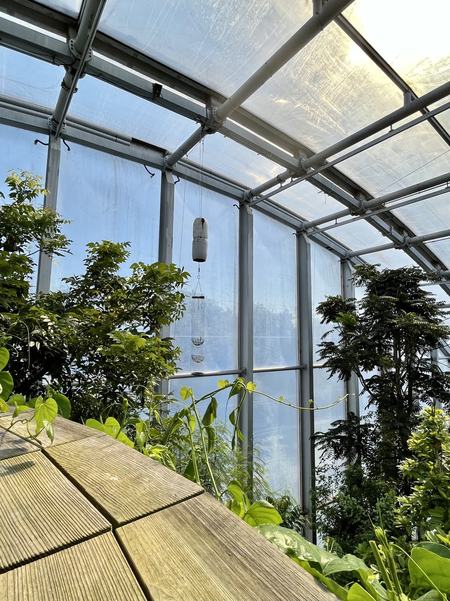 Futterampel mit Fässern im Masoala Regenwald des Zoo Zürich.