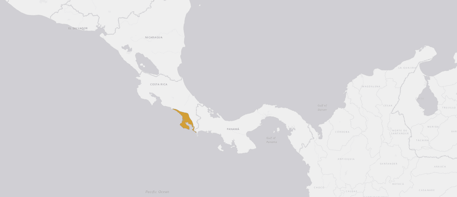 Verbreitungskarte Gestreifter Blattsteiger