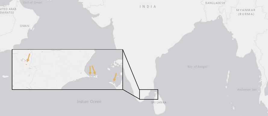 Verbreitung Rameshwaram-Ornamentvogelspinne