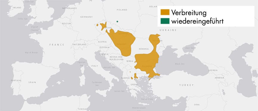 Verbreitungskarte Europäischer Ziesel Verbreitungskarte Europäischer Ziesel