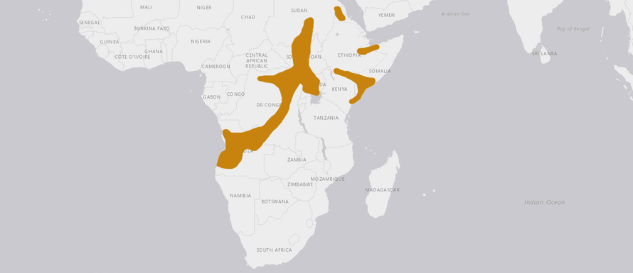 Verbreitungskarte Glattrand-Gelenkschildkröte