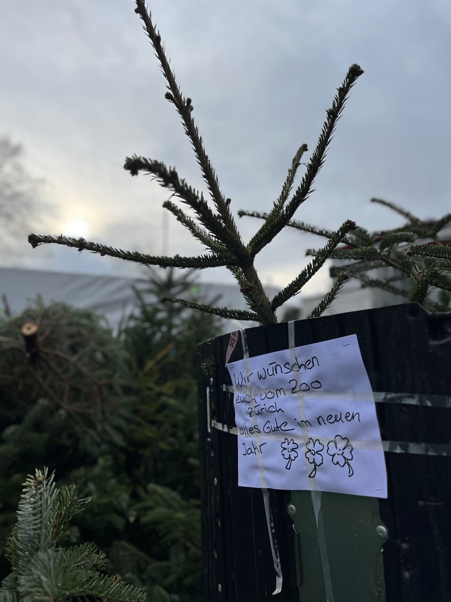 Foto: Zoo Zürich, Martina Kaelin Die Christbaum-Ladung der Migros.