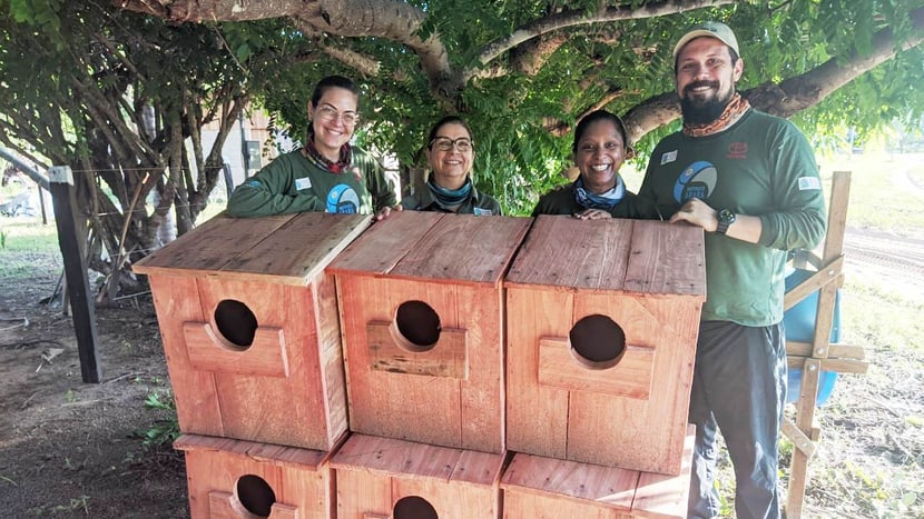 Das Team des Hyacinth Macaw Project installiert neue Nistkästen auf einer abgebrannten Farm.