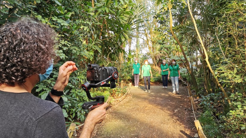 Aufnahmen für die Jerusalema-Tanzchallenge im Masoala Regenwald.