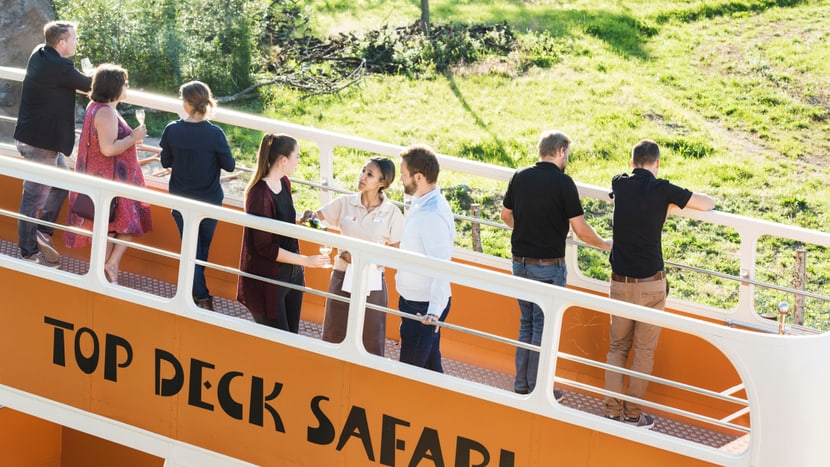 Safaribus in der Lewa Savanne im Zoo Zürich.