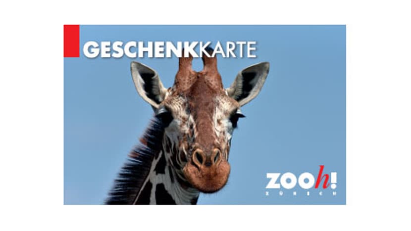 Geschenkkarte_Zoo_Zuerich
