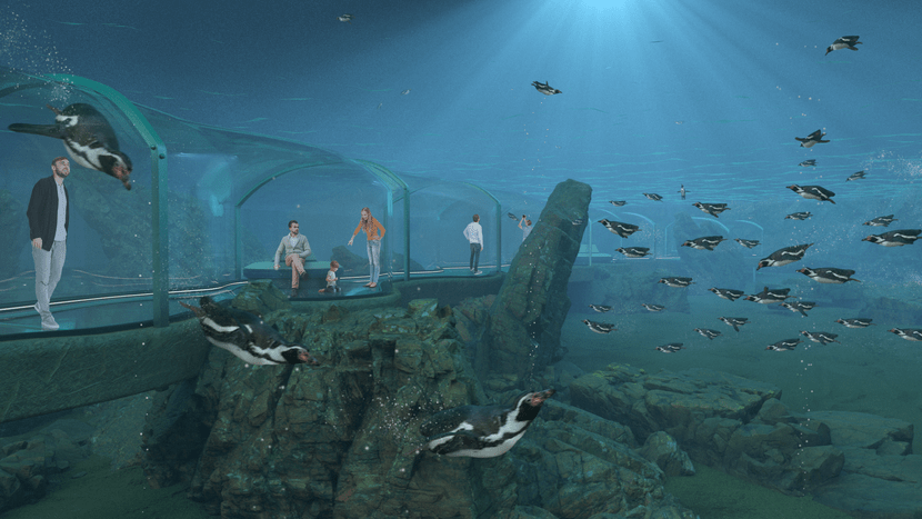 Depiction of the seacoast underwater at Zoo Zurich