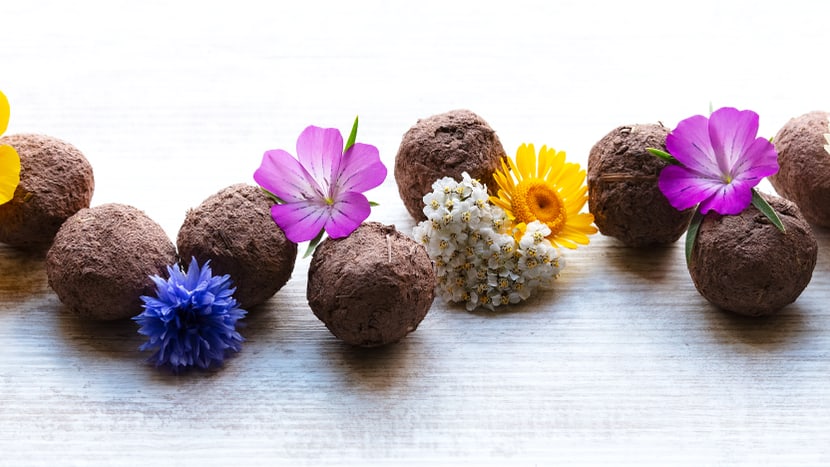 Image symbolique des boules de graines.