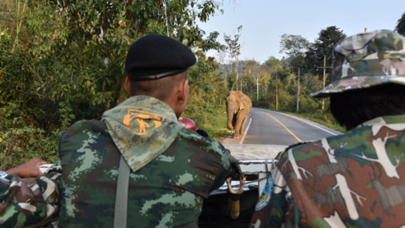 Ranger in Kaeng Krachan