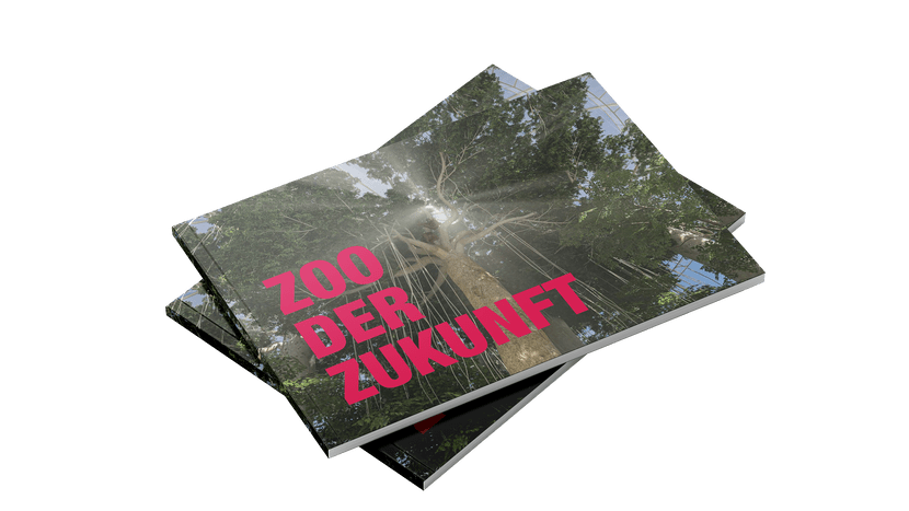 Mockup Broschüre Entwicklungsplan 2050