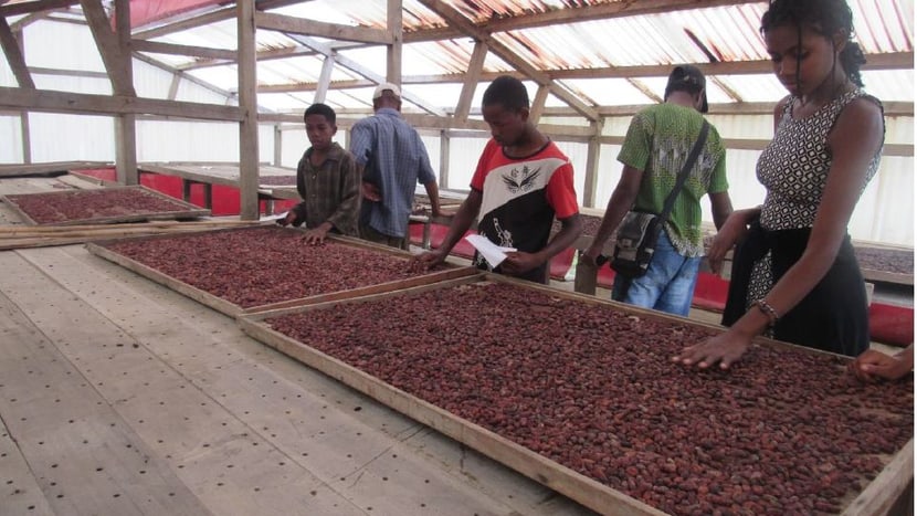 Foto: WCS/Norien Toto Open Calssroom visiting Kakao Fermentation centre