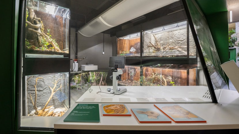 Research station at Zoo Zurich.