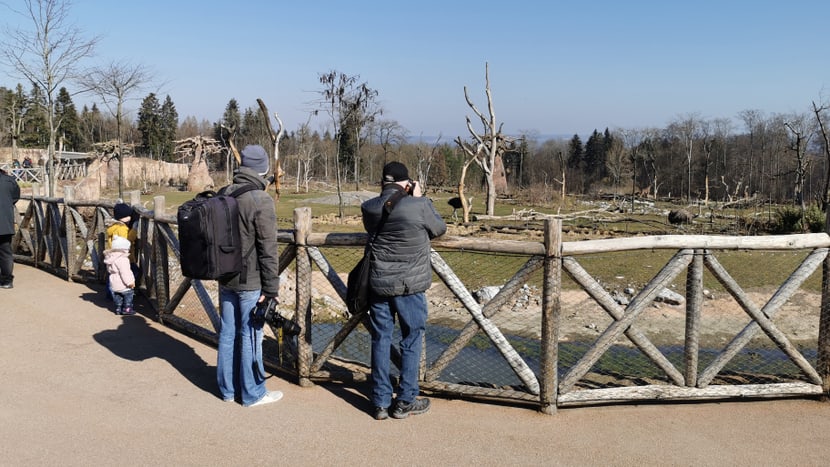 Tag der Zoo-Wiedereröffnung am 1.3.2021.