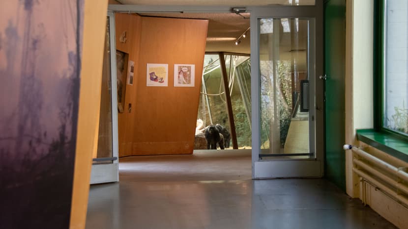 Foto: Zoo Zürich, Robert Zingg Zoo Zürich im März 2020, für die Besucher aufgrund der Covid-19-Pandemie geschlossen.