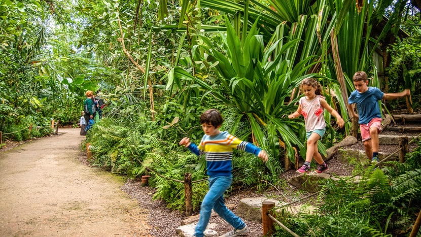 Les enfants explorent la forêt tropicale de Masoala.