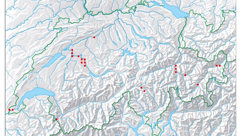 Nachweise von Fischottern in der Schweiz seit 2009 bis 2019.