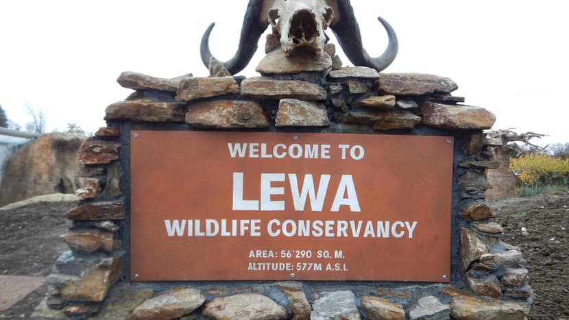 Schild Lewa Savanne im Zoo Zürich.