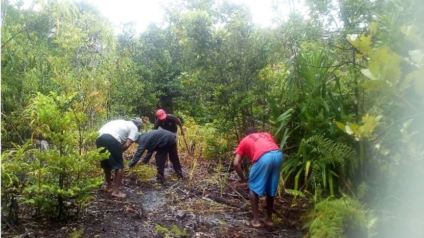 Foto: Madagascar National Parks Wege instandhalten Masoala
