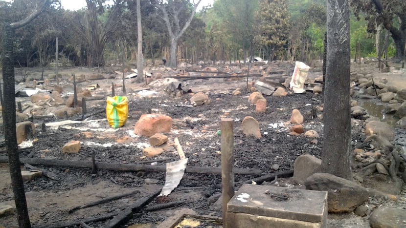 Foto: Madagascar Fauna and Flora Group Feuer in Ambodirafia
