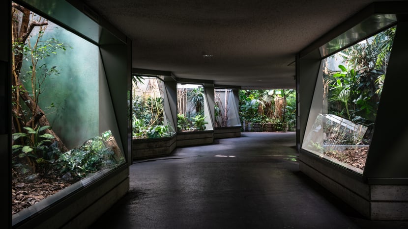 Foto: Zoo Zürich, Marco Schaffner Zoo Zürich im März 2020, für die Besucher aufgrund der Covid-19-Pandemie geschlossen.