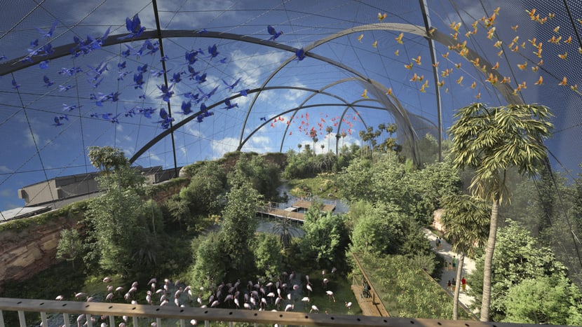 Visualisierung der geplanten Pantanal Voliere im Zoo Zürich.