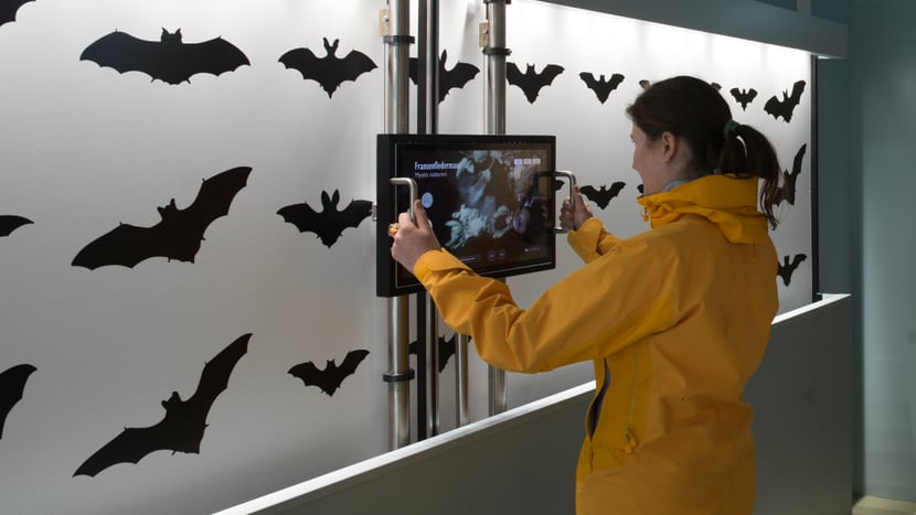 Foto: Stiftung Fledermausschutz Info- und Ausbildungszentrum Fledermaus-Welt im Zoo Zürich